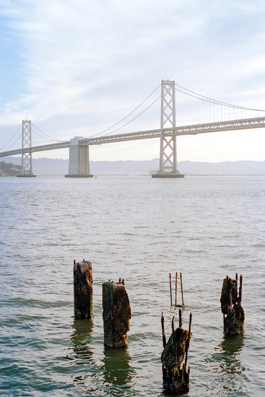 BAY BRIDGE