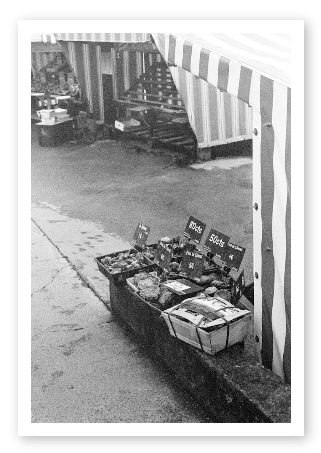OYSTERS IN CANCALE (FILM)