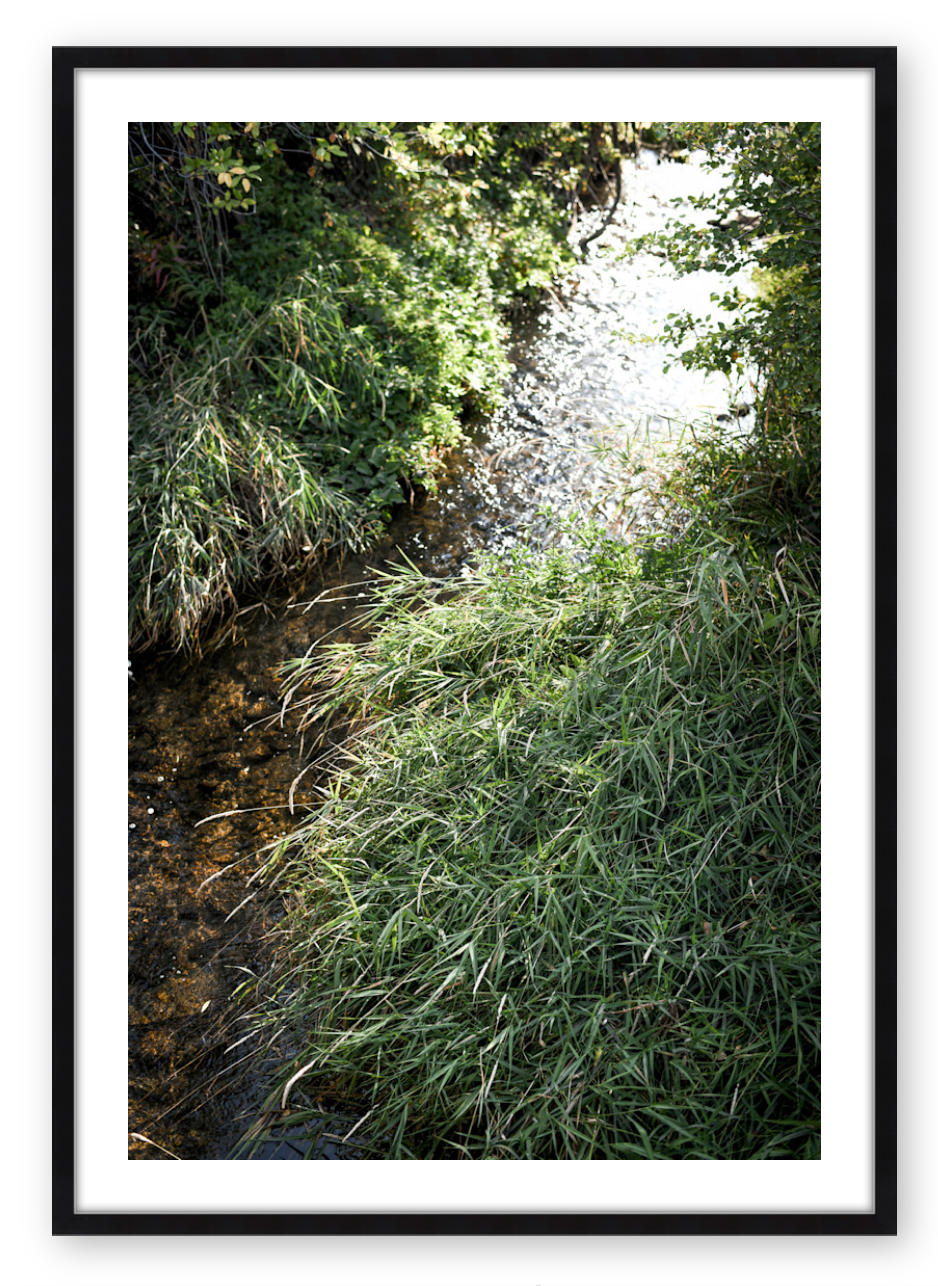 SILVER CREEK