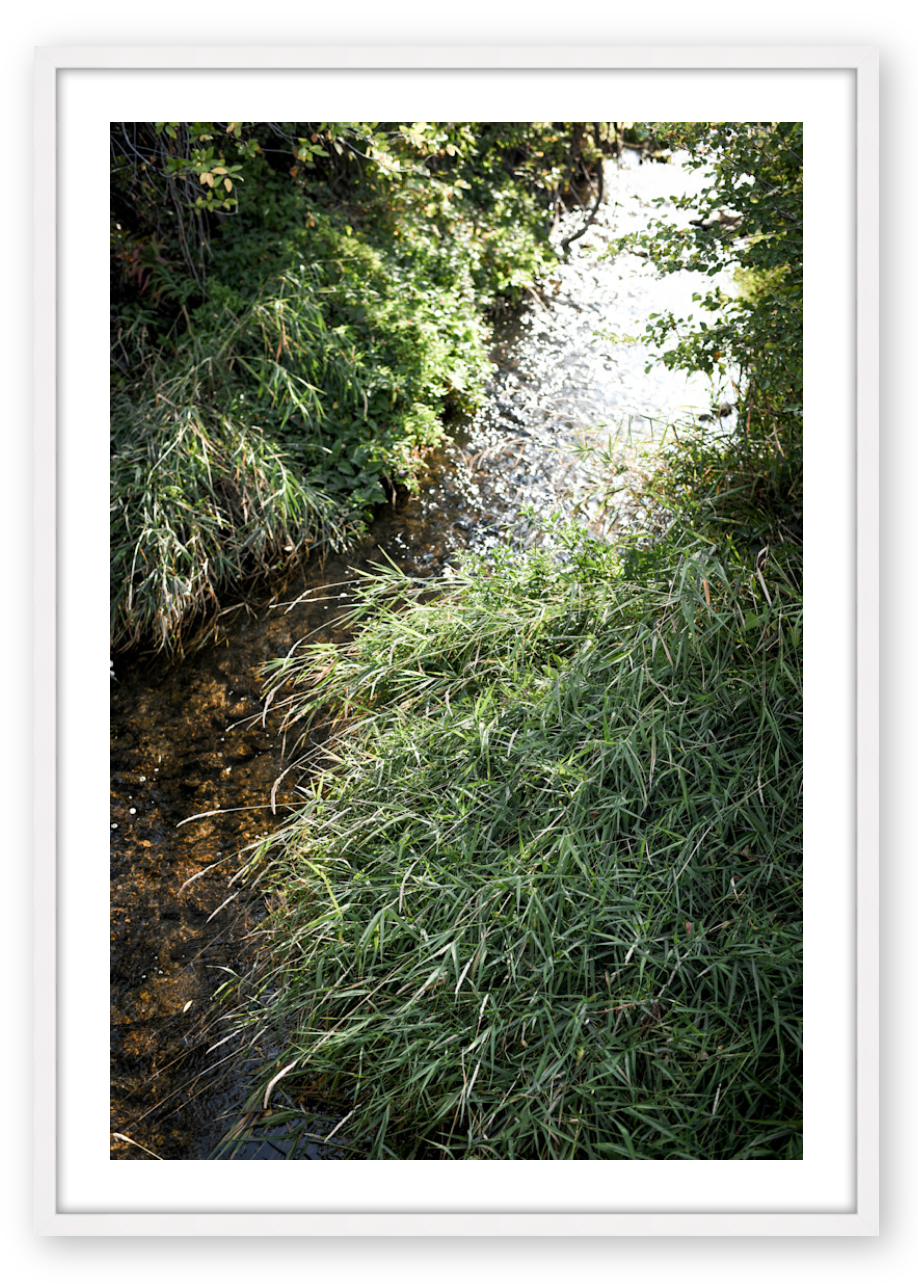 SILVER CREEK