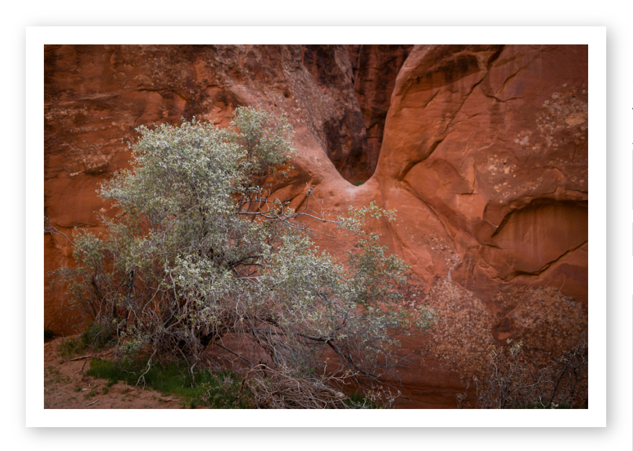 MOAB I
