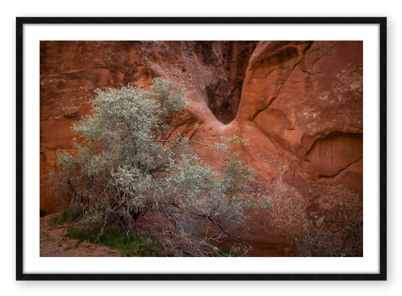 MOAB I