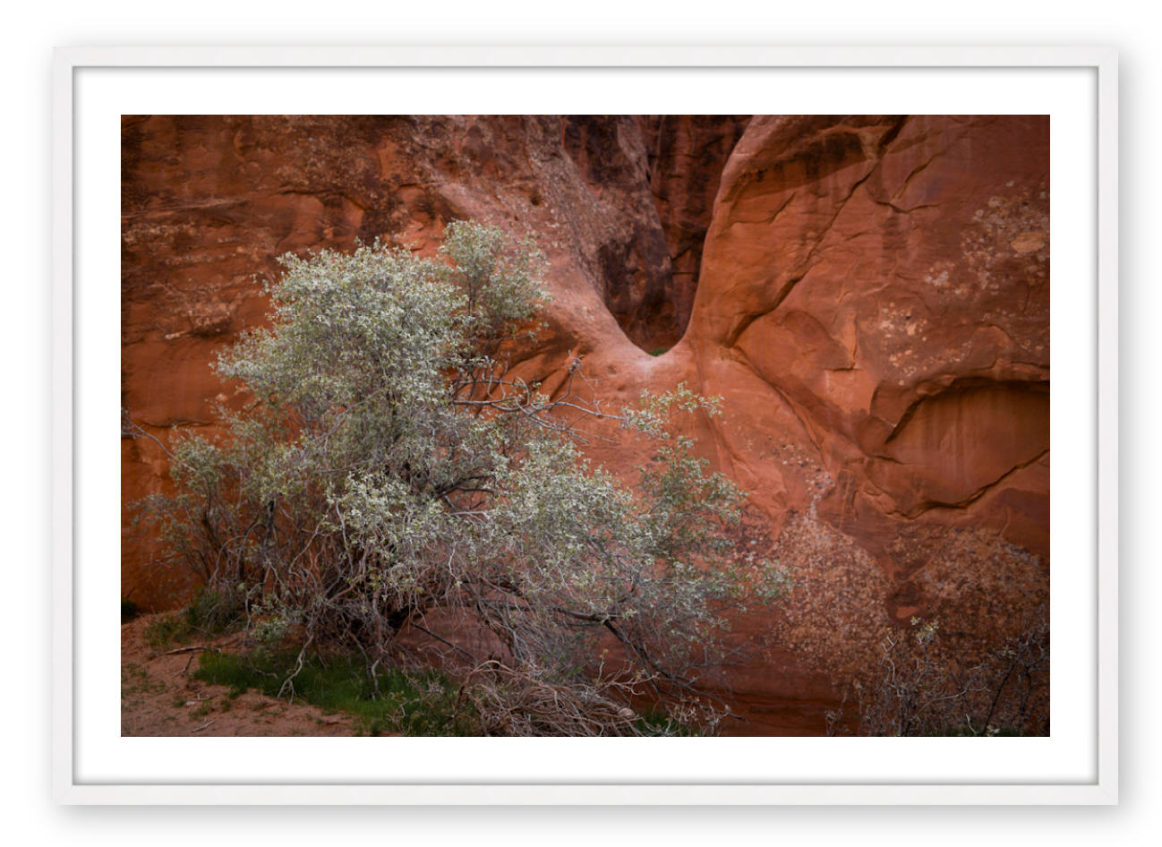 MOAB I