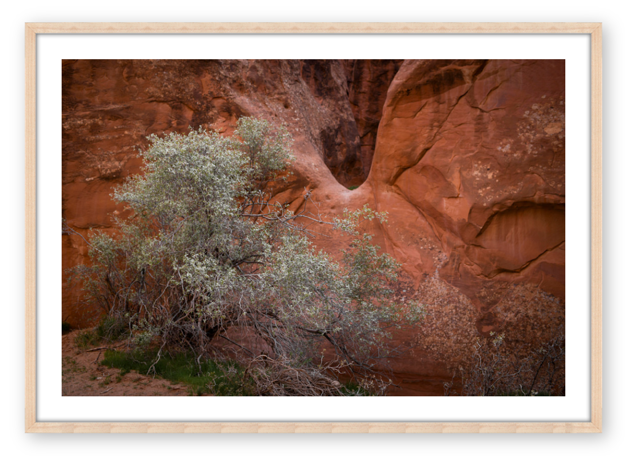 MOAB I
