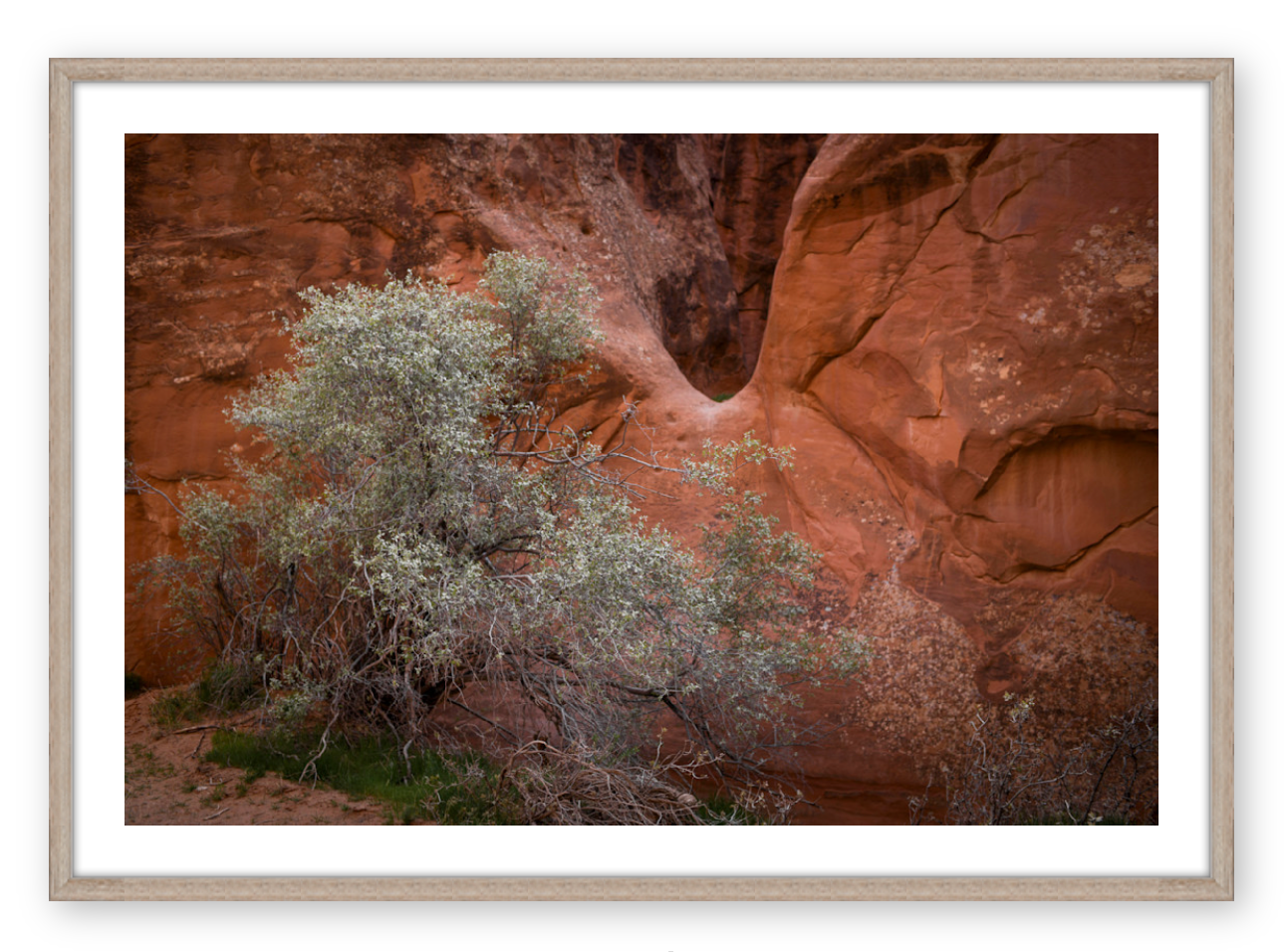MOAB I