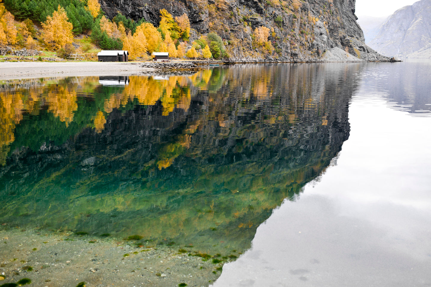 FLÅM