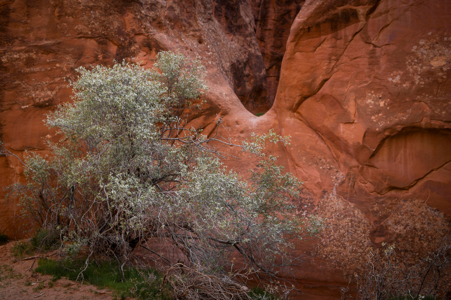 MOAB I
