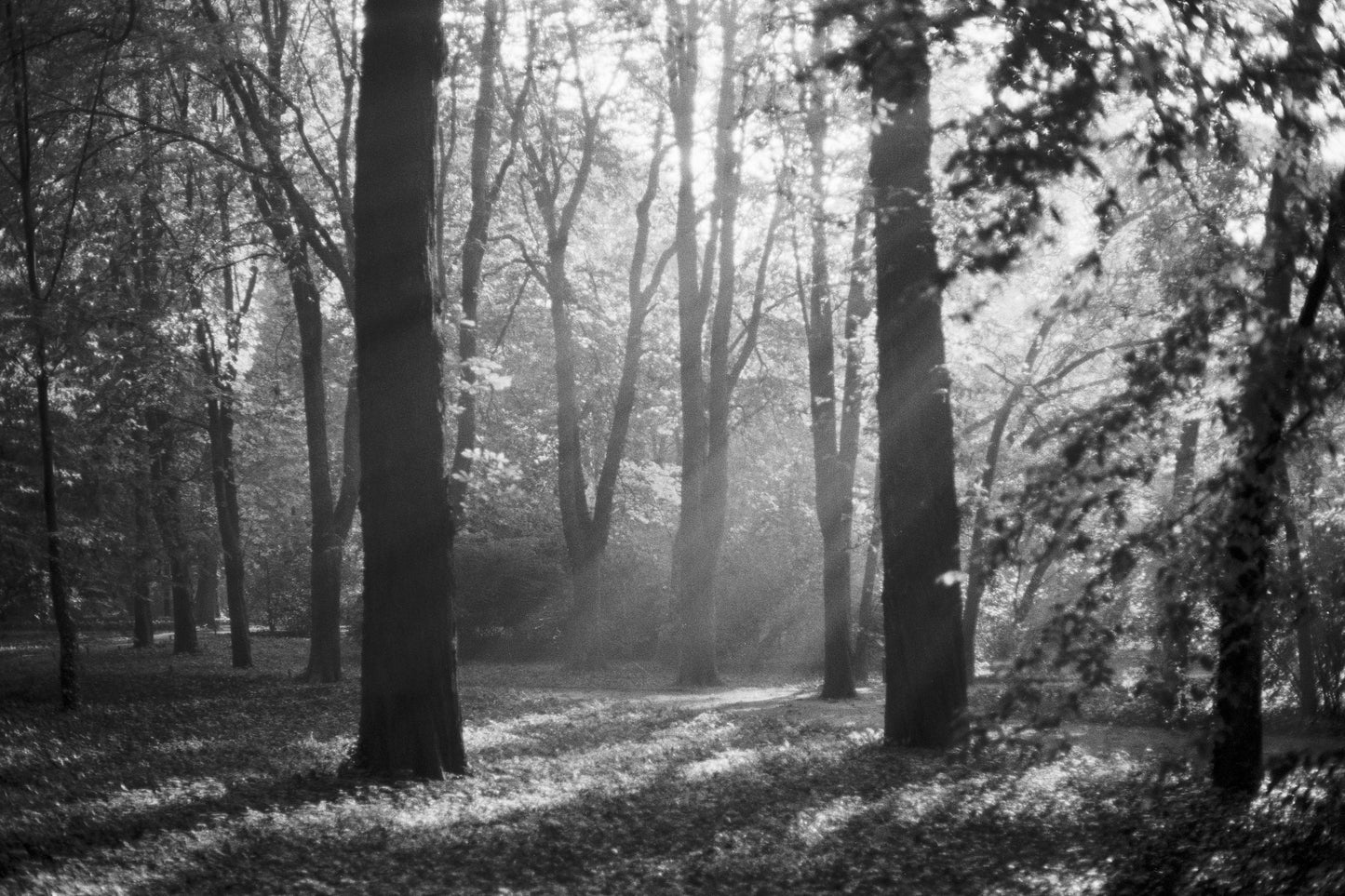 ŁAZIENKI (FILM)